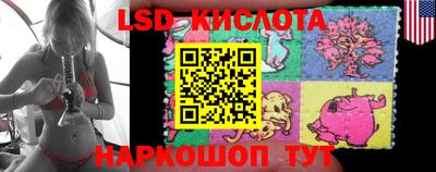 PSILOCYBIN Азнакаево