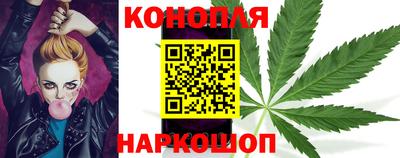 PSILOCYBIN Азнакаево