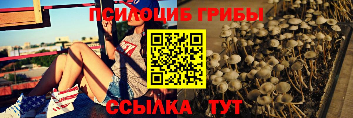 Россия  Псилоцибиновые грибы MAGIC MUSHROOMS  Псилоцибиновые грибы MAGIC MUSHROOMS  Вход с VPN 
